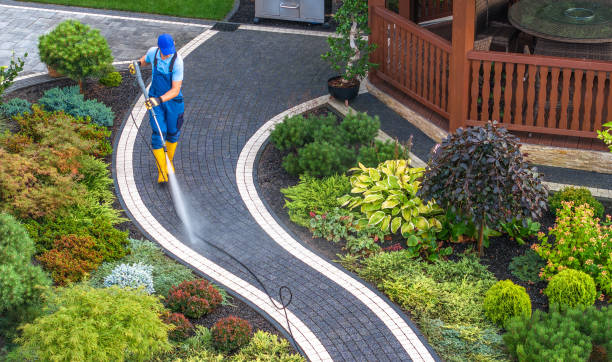 Best Local Pressure Washing Services  in Bonita, CA